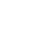 整車質保